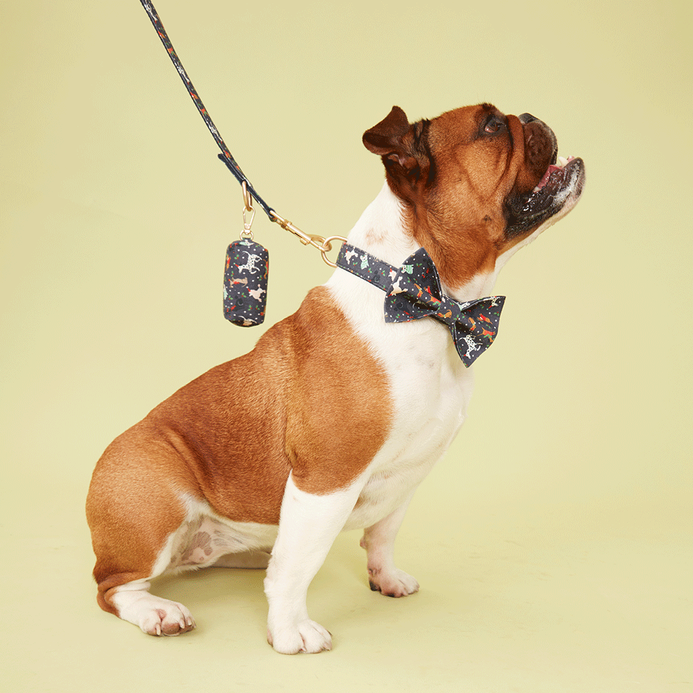 DOG LEAD - FESTIVE NAVY PRINT