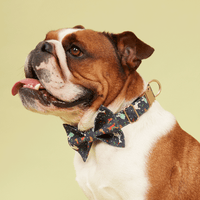 Thumbnail for DOG COLLAR - FESTIVE NAVY PRINT