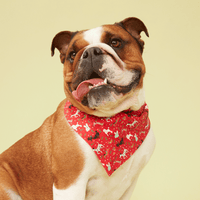 Thumbnail for DOG BANDANA - FESTIVE RED PRINT