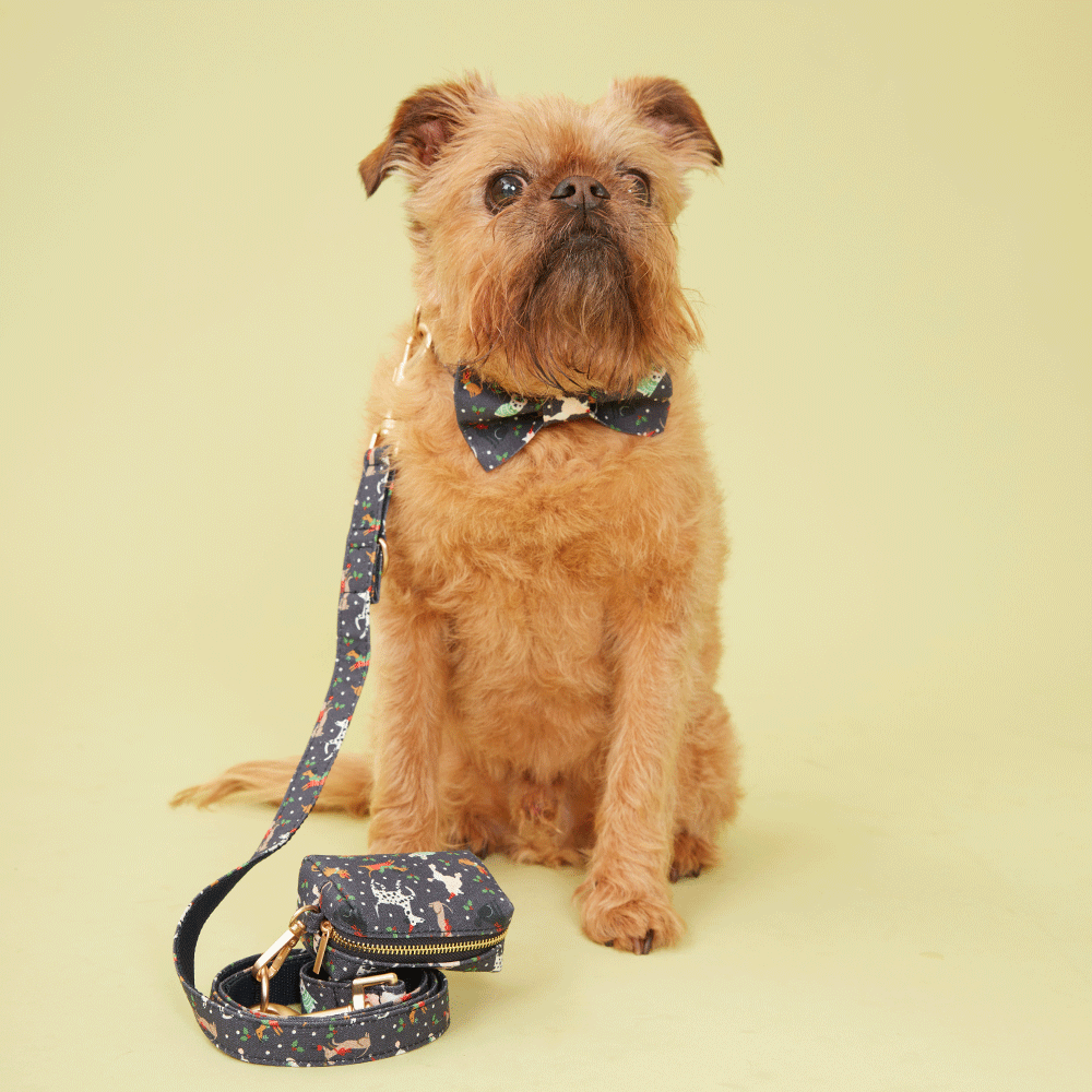 DOG LEAD - FESTIVE NAVY PRINT