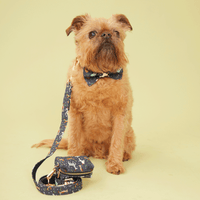 Thumbnail for DOG LEAD - FESTIVE NAVY PRINT