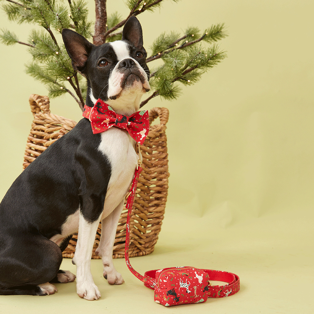 DOG LEAD - FESTIVE RED PRINT