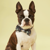 Thumbnail for DOG BOW TIE - FESTIVE NAVY PRINT