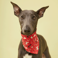Thumbnail for DOG BANDANA - FESTIVE RED PRINT