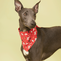Thumbnail for DOG BANDANA - FESTIVE RED PRINT
