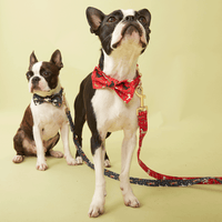 Thumbnail for DOG LEAD - FESTIVE NAVY PRINT