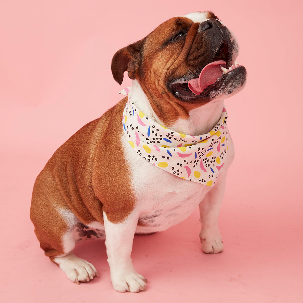 DOG BANDANA - ABSTRACT