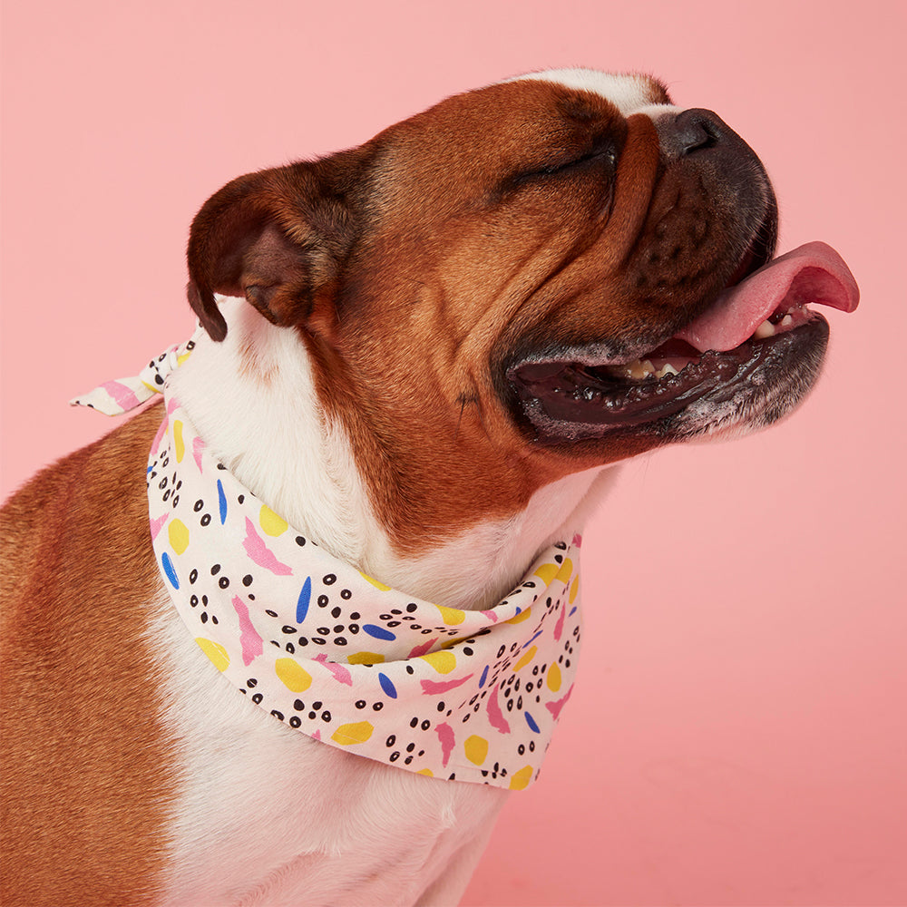 DOG BANDANA - ABSTRACT