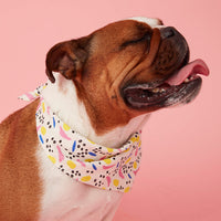 Thumbnail for DOG BANDANA - ABSTRACT