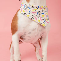 Thumbnail for DOG BANDANA - ABSTRACT