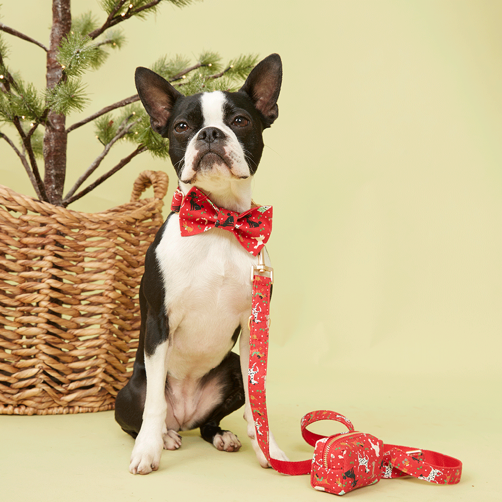 DOG LEAD - FESTIVE RED PRINT