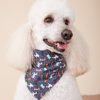 Thumbnail for DOG BANDANA - FESTIVE NAVY PRINT