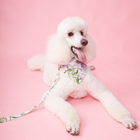 Thumbnail for DOG LEAD - WATERCOLOUR FLORAL