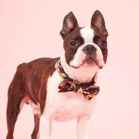 Thumbnail for DOG BOW TIE - BLACK FLORAL PRINT