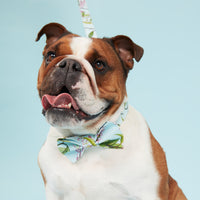 Thumbnail for DOG BOW TIE - WATERCOLOUR FLORAL