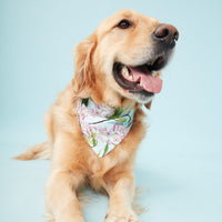 Thumbnail for DOG BANDANA - WATERCOLOUR FLORAL