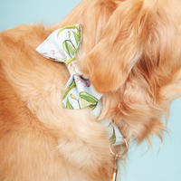 Thumbnail for DOG COLLAR - WATERCOLOUR FLORAL