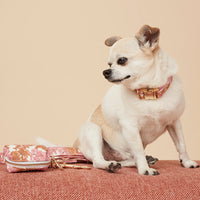 Thumbnail for DOG COLLAR - PINK FLORAL