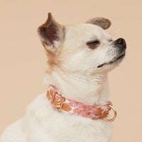 Thumbnail for DOG COLLAR - PINK FLORAL