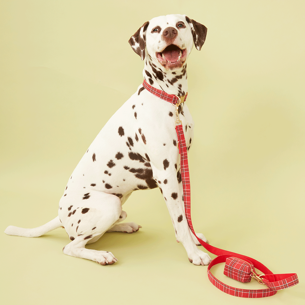 DOG LEAD - RED CHECK
