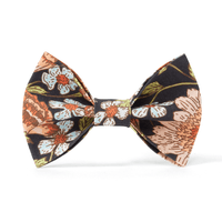 Thumbnail for DOG BOW TIE - BLACK FLORAL PRINT