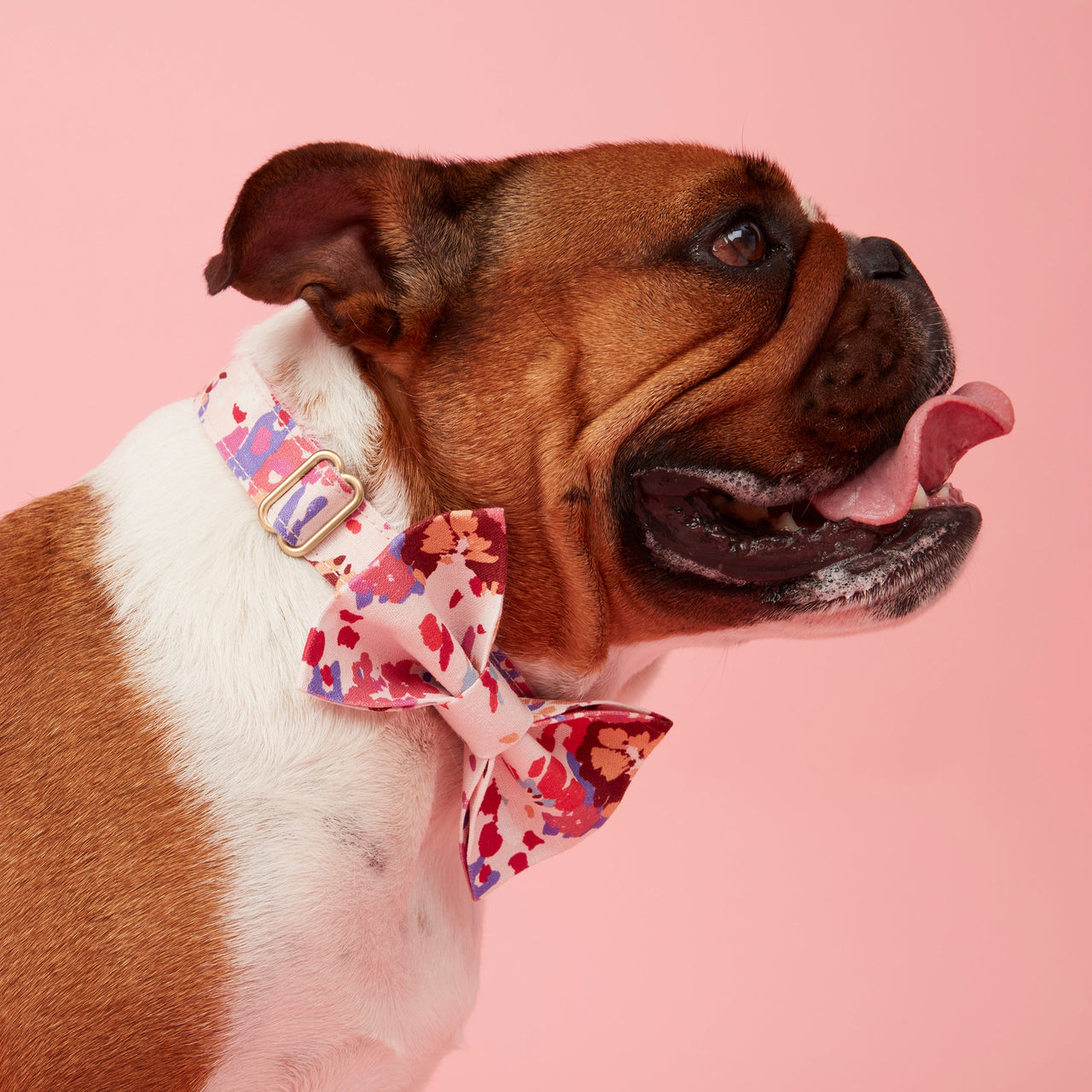 DOG BOW TIE - BOLD FLORAL