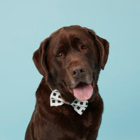 Thumbnail for DOG BOW TIE - WHITE BLACK CHECK