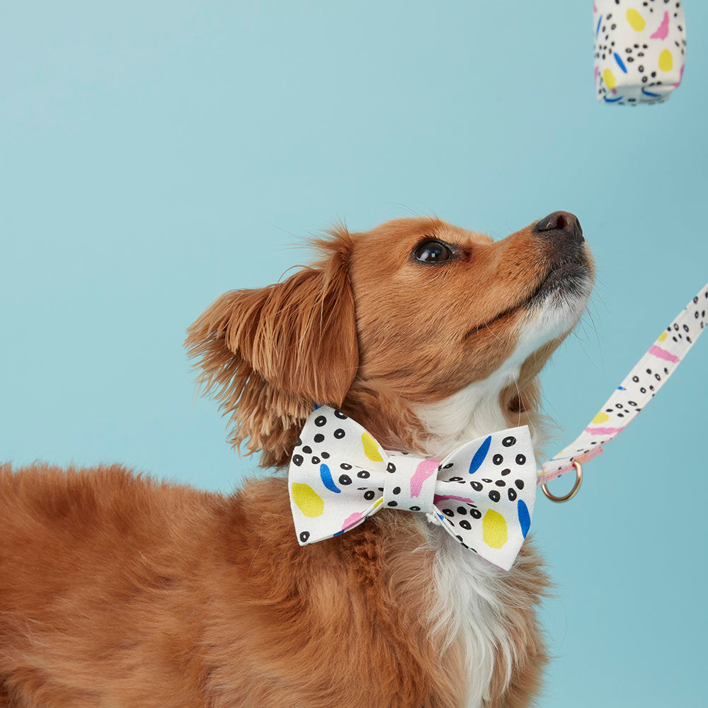 DOG BOW TIE - ABSTRACT