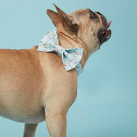 Thumbnail for DOG BOW TIE - BLUE DOG